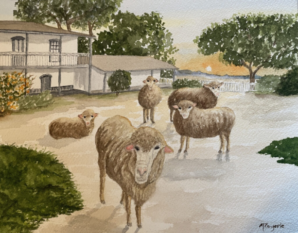 Sheep at Sunset - Los Olivas Adobe